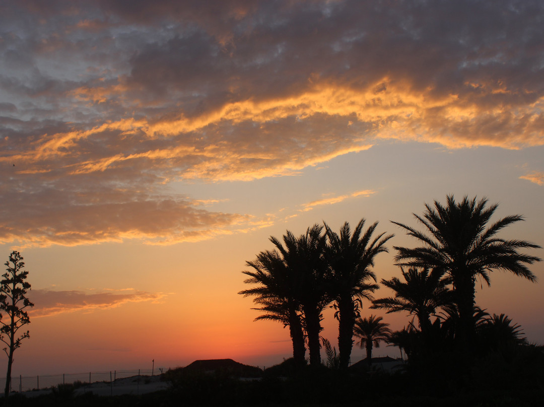 Neptunia Beach主图