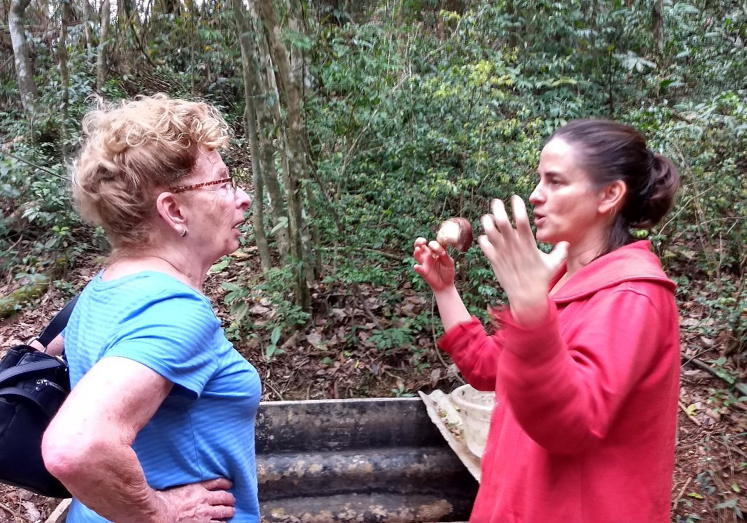 Casa da Mata-圣安东尼奥杜皮尼亚尔必去景点