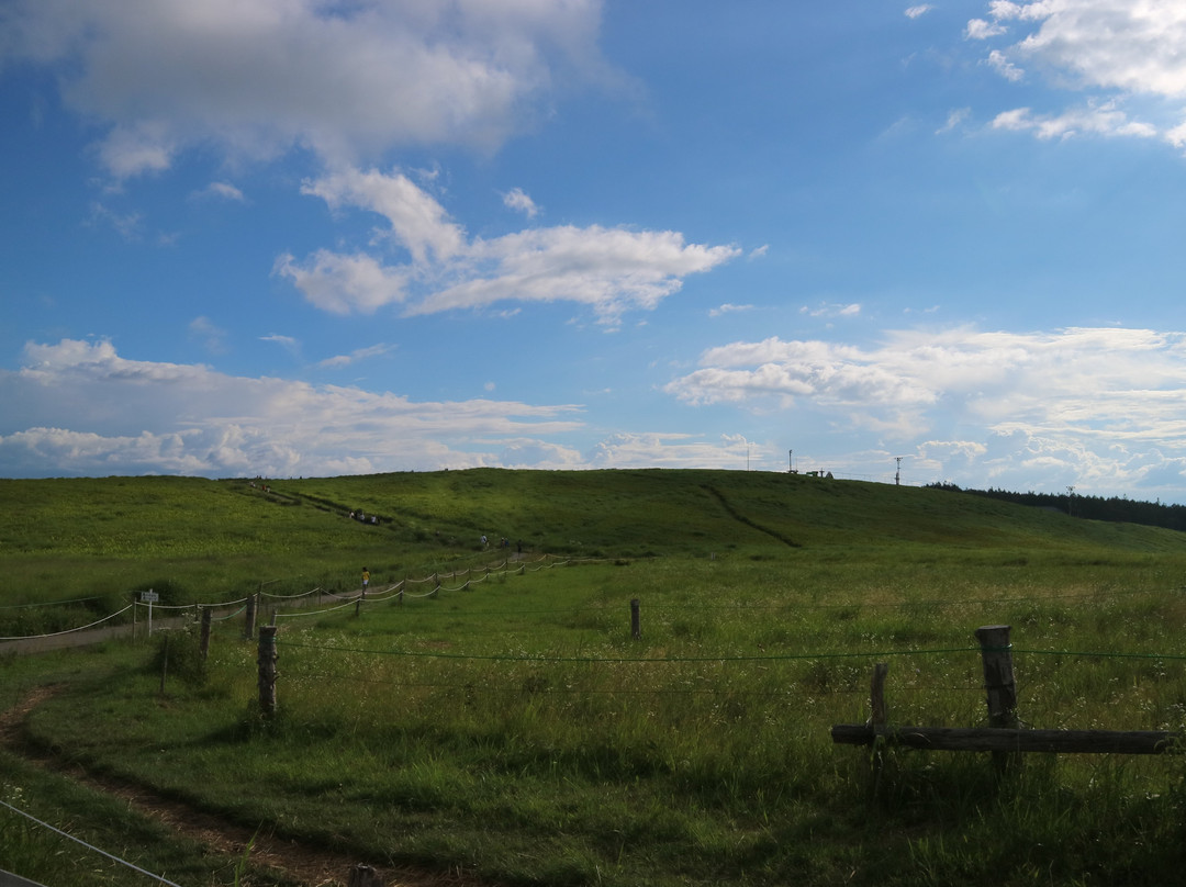 Kirigamine Nature Conservation Center景点图片