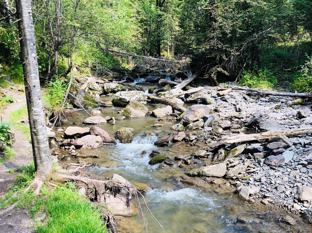 Cascading Waterfalls Third River景点图片