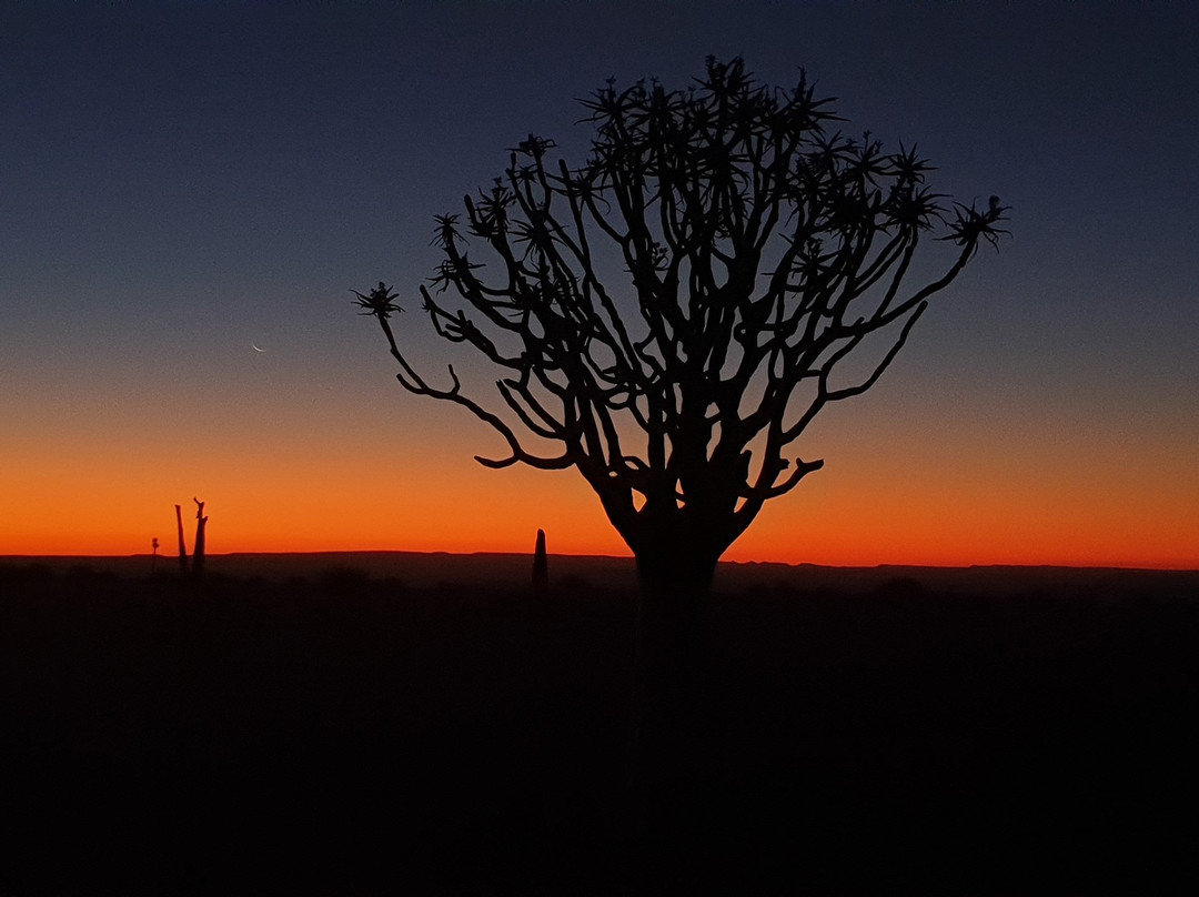 Namvic Tours & Safaris-温德和克必去景点