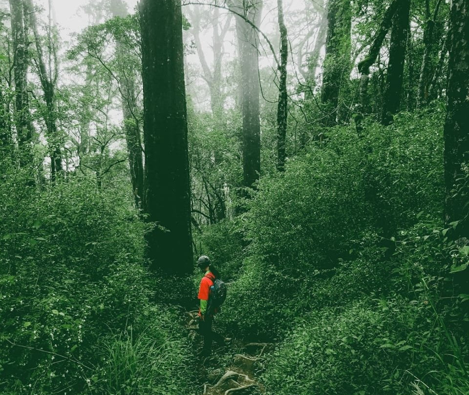 Mt. Ciremai-井里汶必去景点