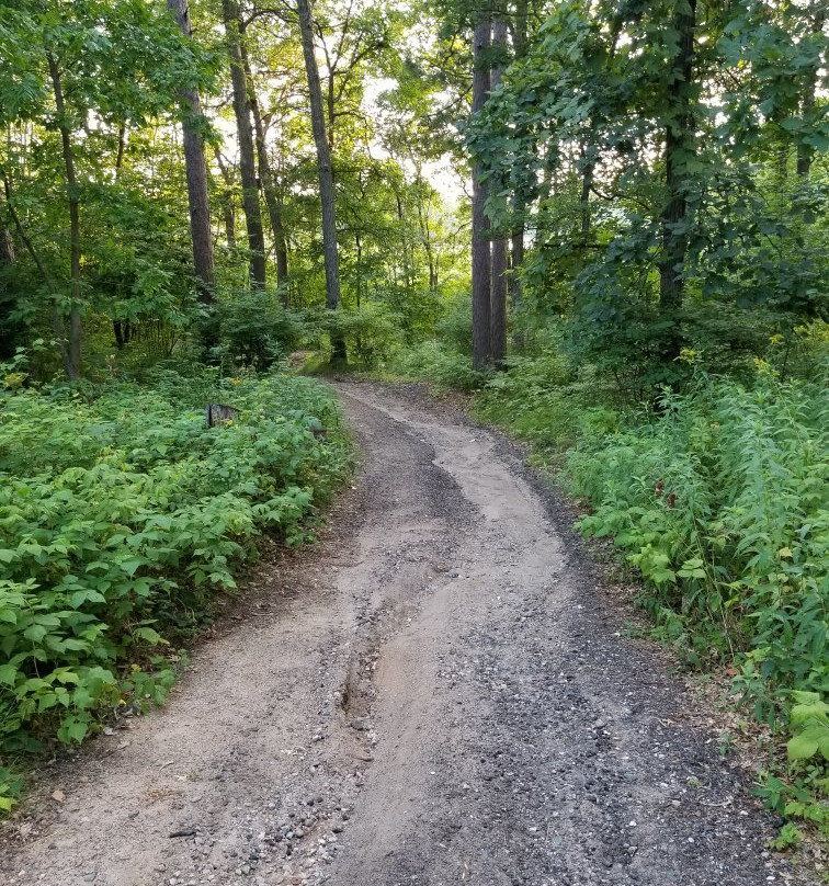 Causeway on Gull主图