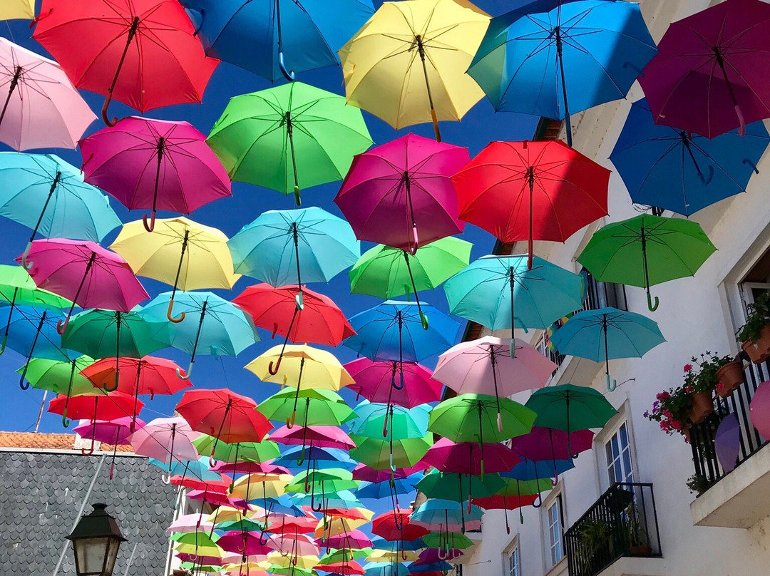 Agitours-Agueda必去景点