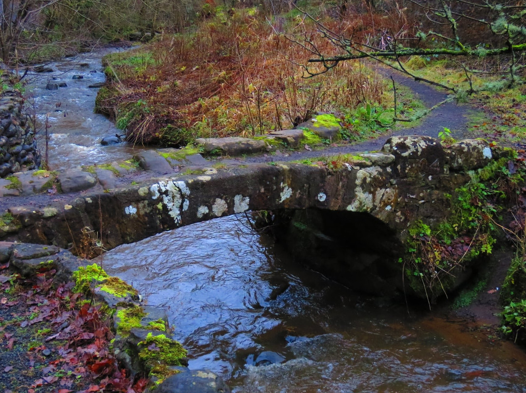 Kennoway Den