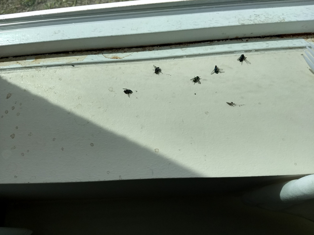 Apalachin Hotel主图