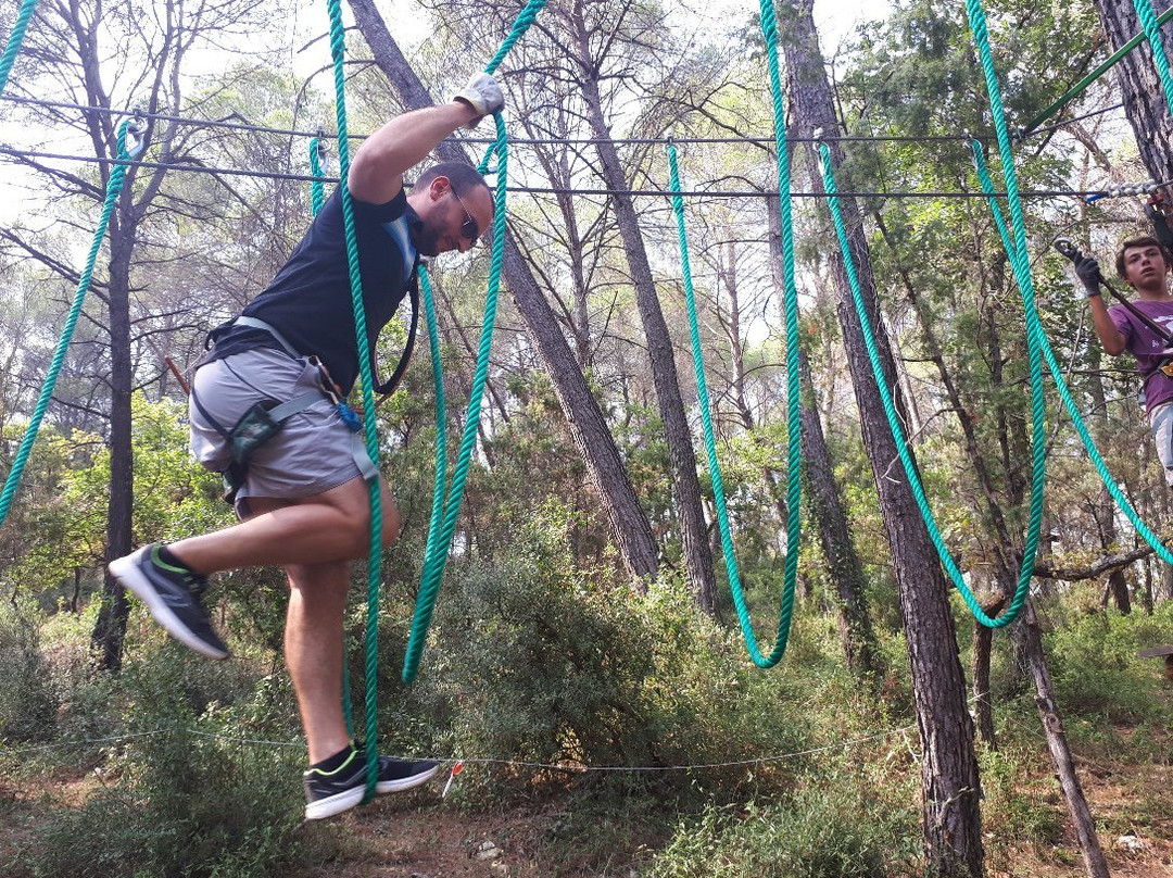 Parc aventure Flay Forest-Flayosc必去景点