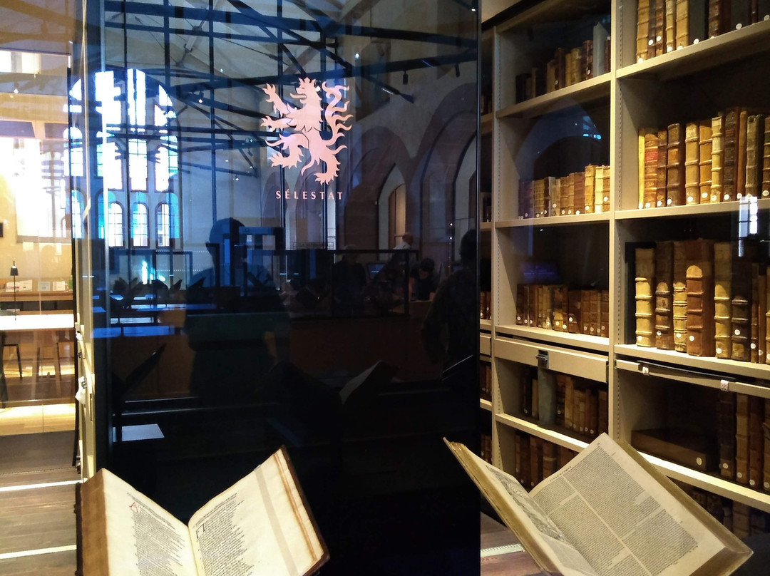 Bibliothèque Humaniste景点图片