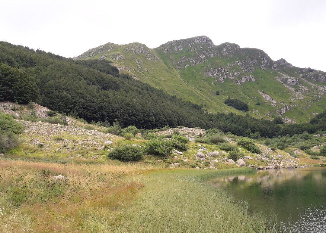 Lago Verde景点图片