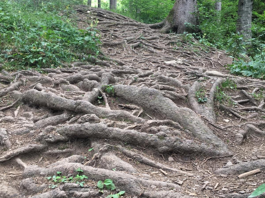 Woerschachklamm-Worschach必去景点