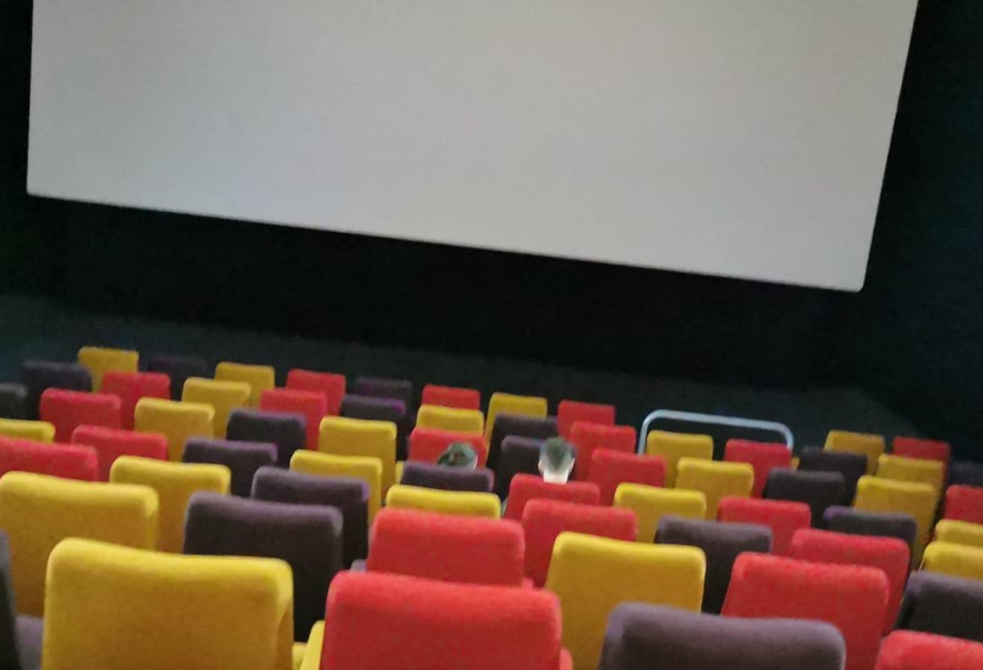 Light Cinema Wisbech景点图片
