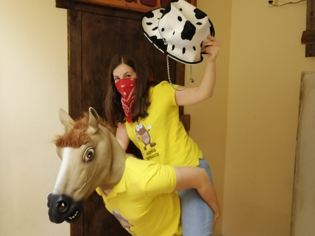 Escapa-T Lleida Room Escape-列伊达必去景点