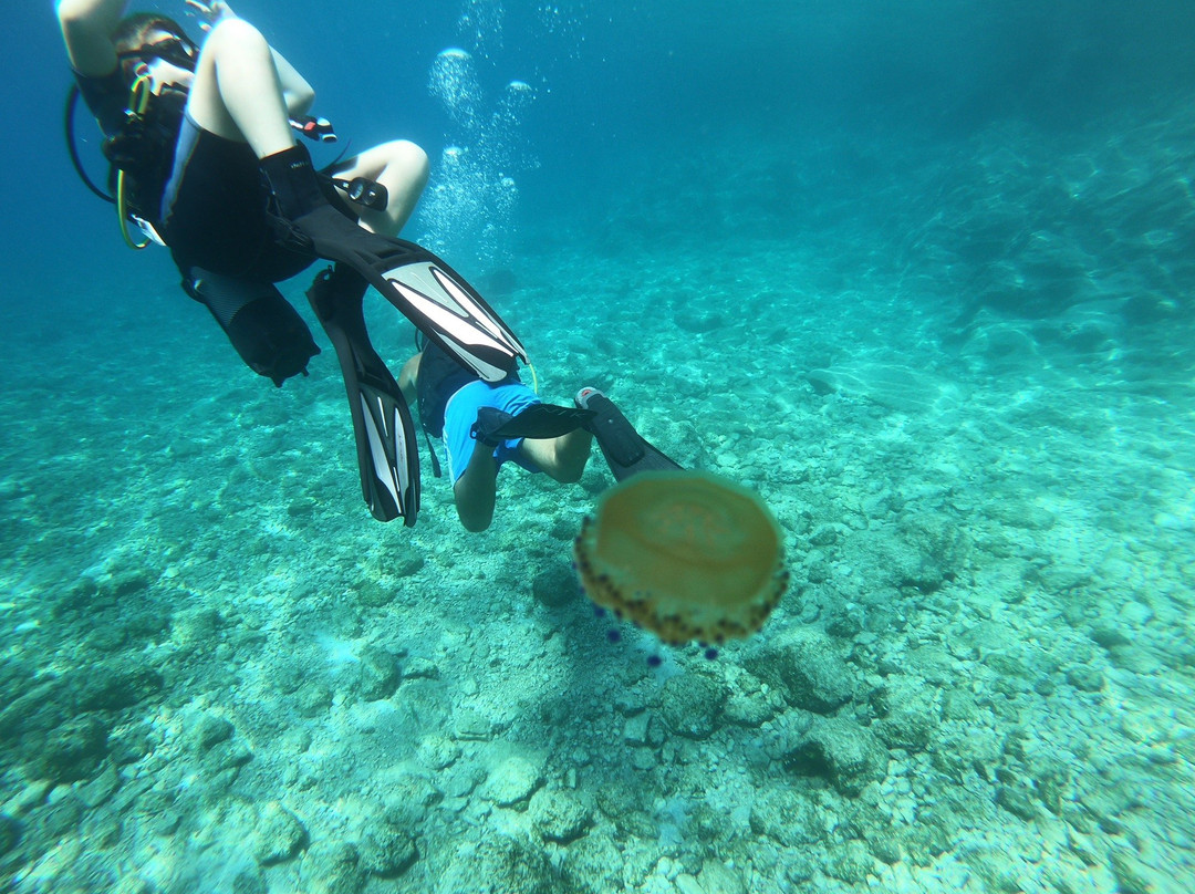 Odyssey Outdoor Activities-Vathy必去景点