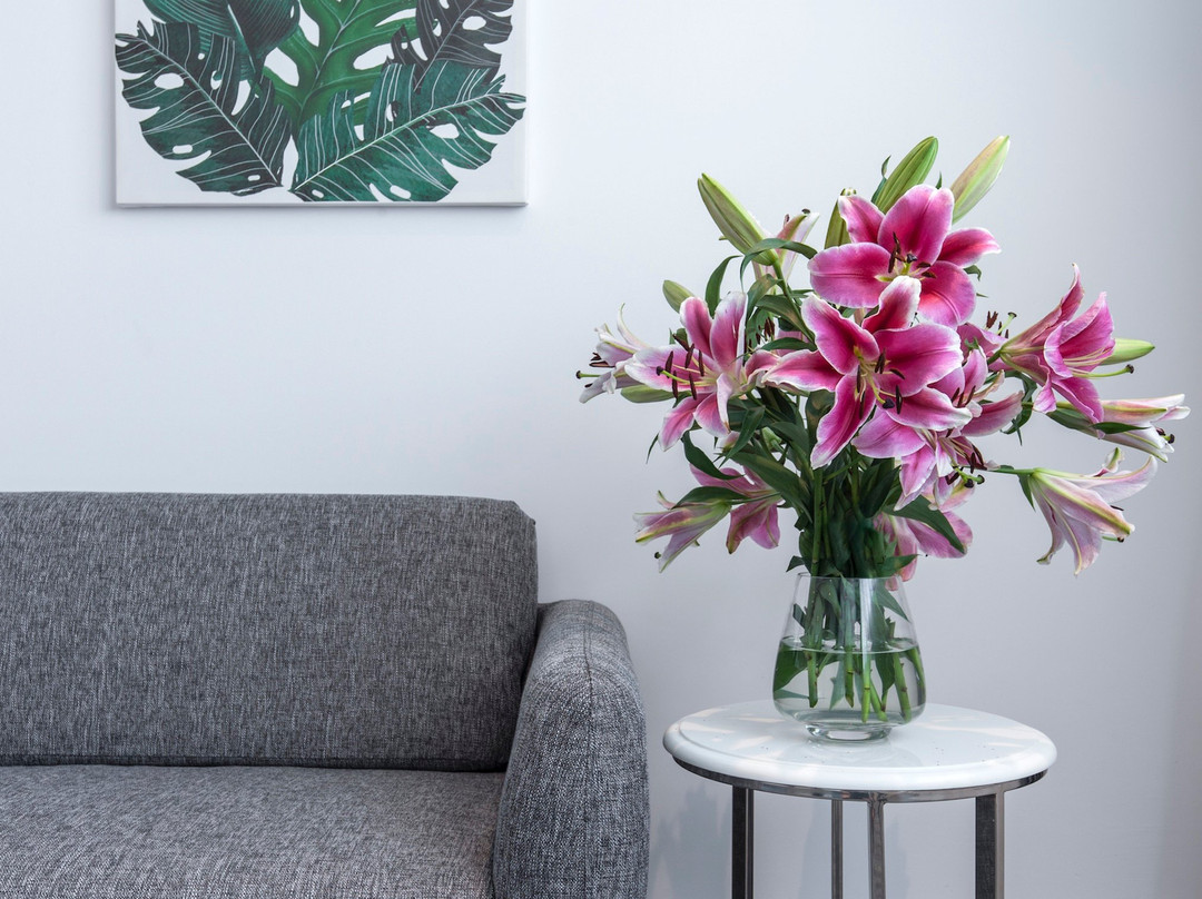 Anneta Star Hill主图