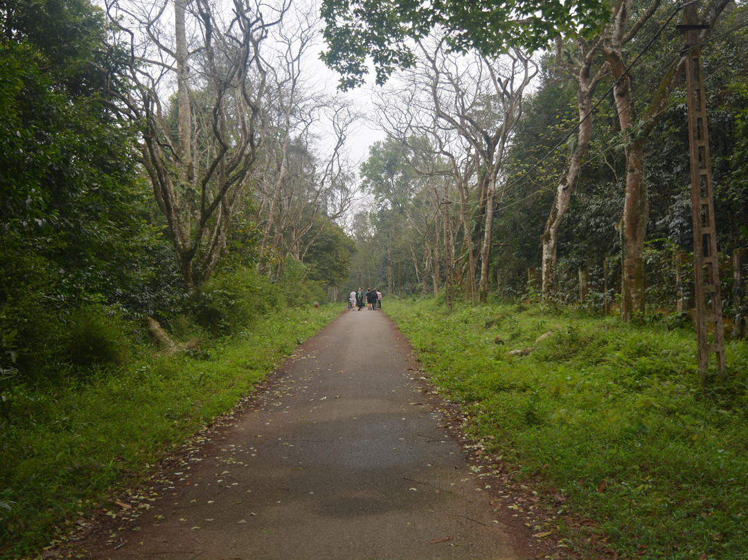 Go Local Phong Nha景点图片