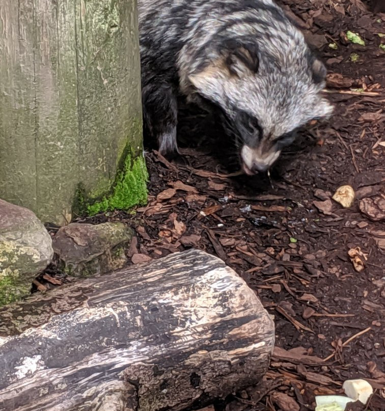 Rendall旅游攻略图片