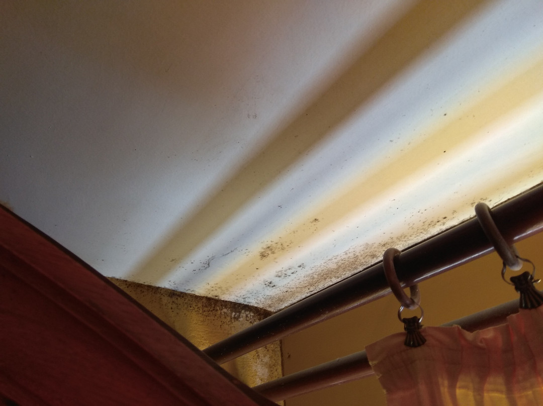 Santa Marina Guesthouse主图