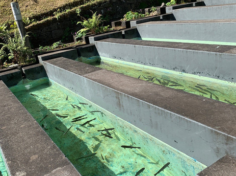 Madeira In Táxi-沙尔必去景点