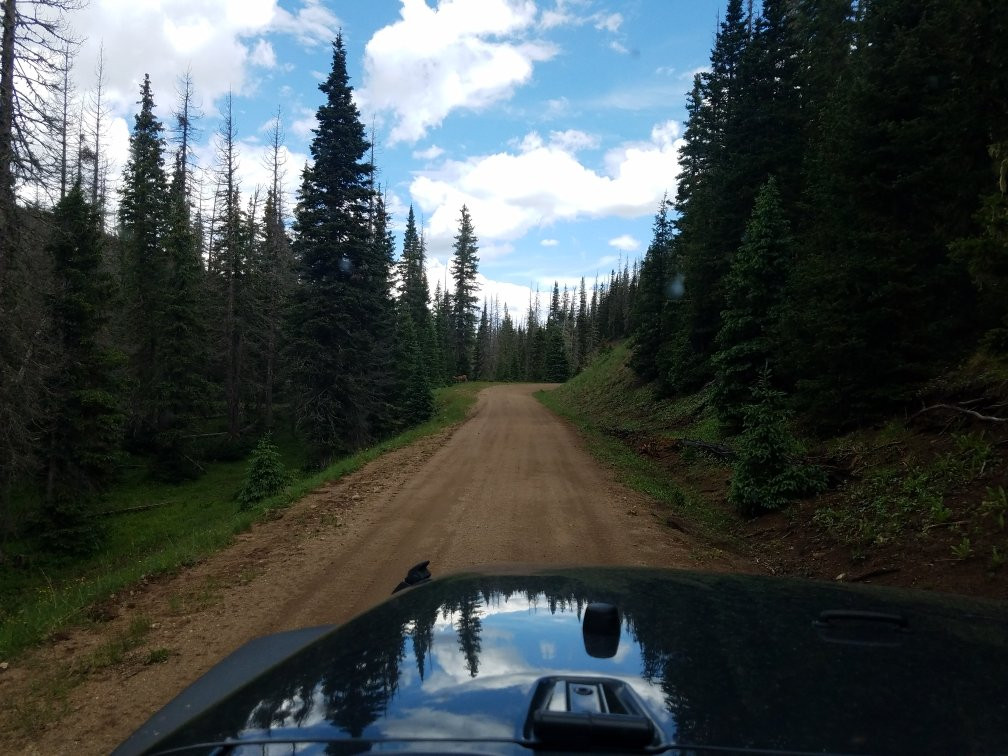 Colorado Overland 4x4 Adventures景点图片