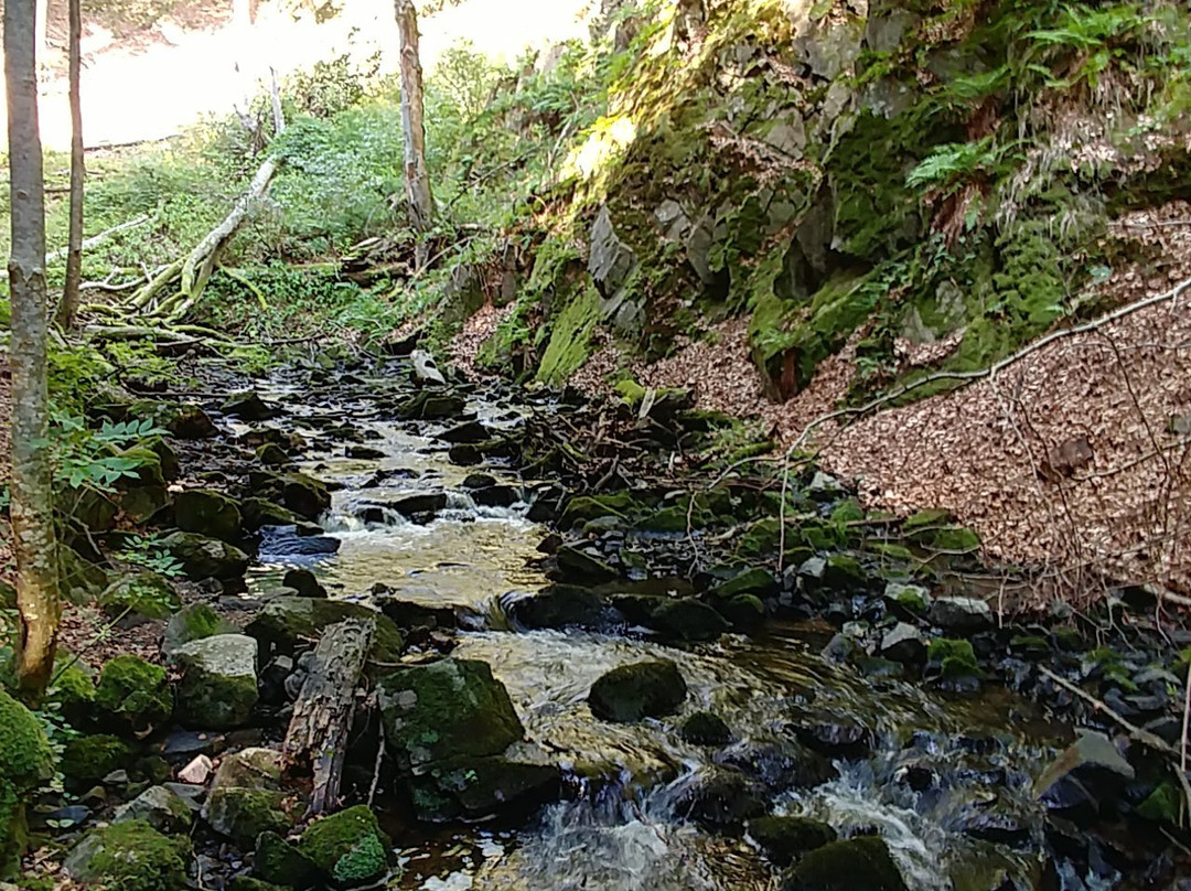 Forsakar Nature Reserve-Degeberga必去景点