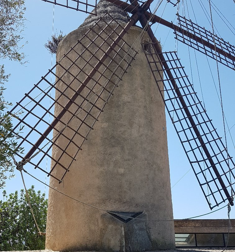 Museu Arqueologic de Son Fornes景点图片