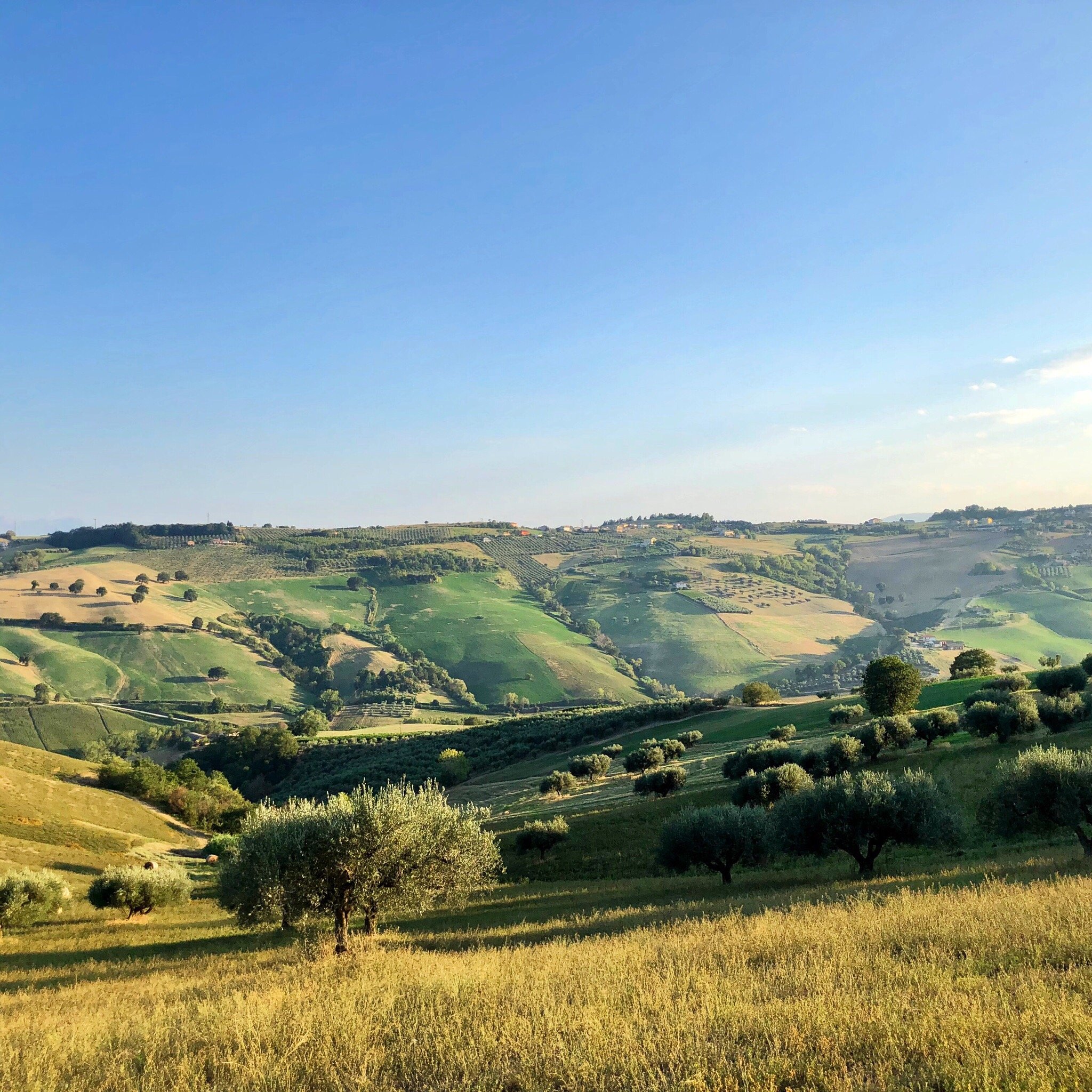 Casale Adriatico B&B-官方