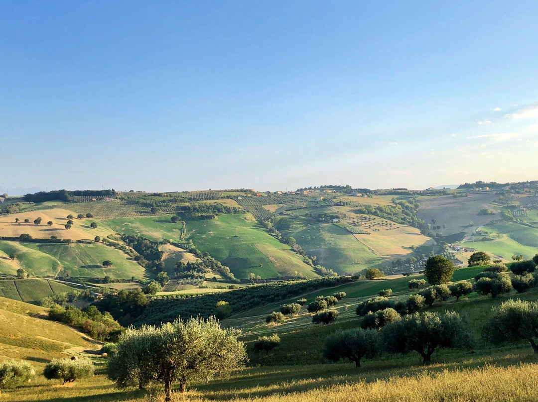 Torre di Cerrano酒店住宿-Casale Adriatico B&B