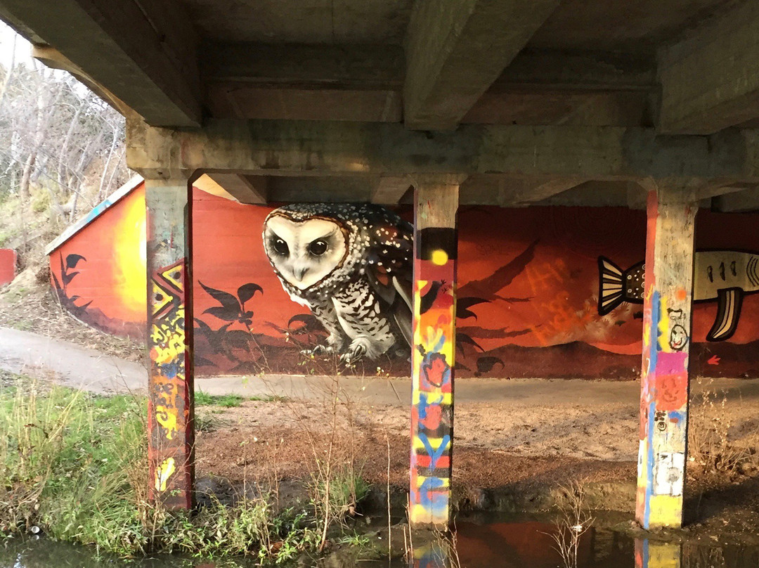 Waterhole Creek Cultural Trail-摩威必去景点