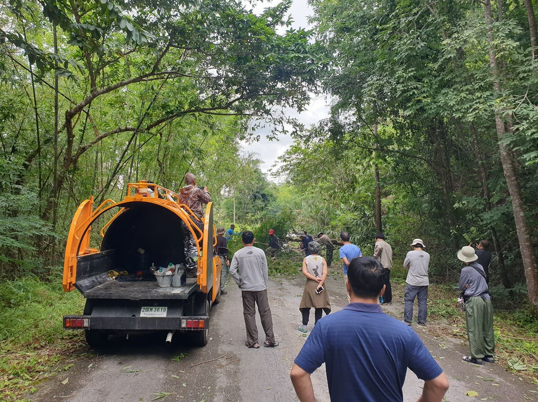 Mae Wong National Park景点图片