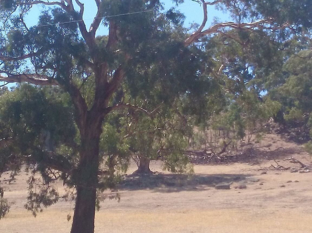 Goldfields Track-Castlemaine必去景点