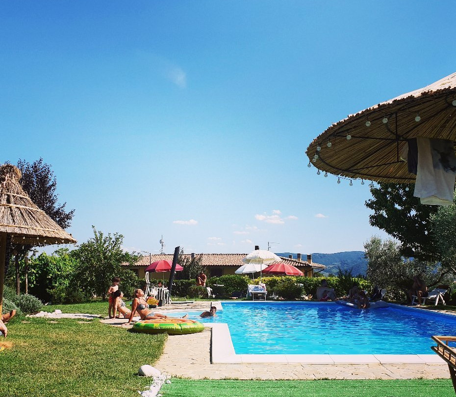 Il Belvederino主图