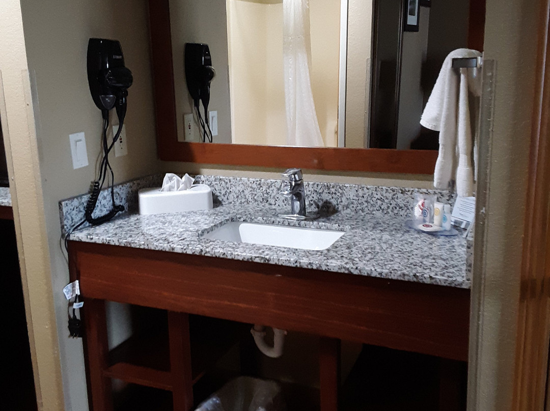 Comfort Inn & Suites Cedar Rapids North - Collins Road主图