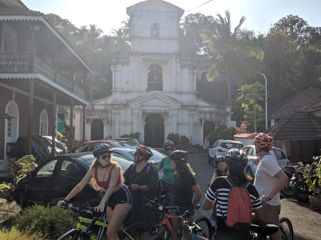 The Bicycle Trip景点图片