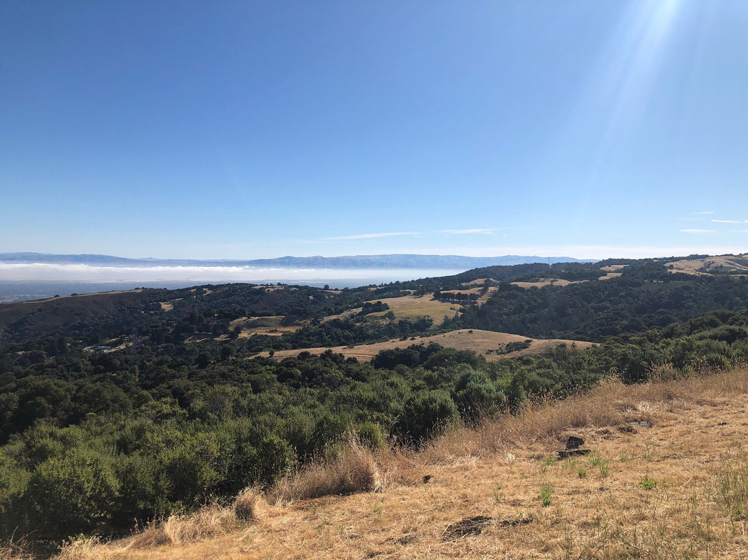 Russian Ridge Open Space Reserve-雷德伍德城必去景点