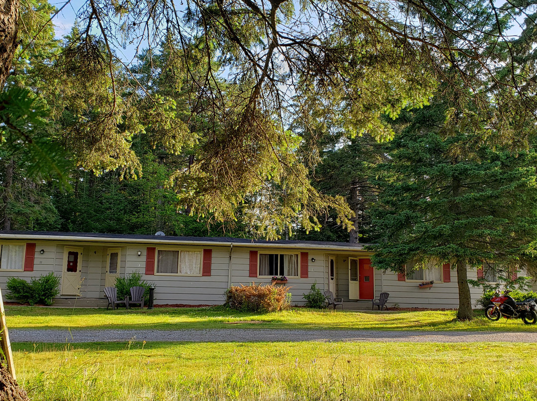 Pinecone Motel主图