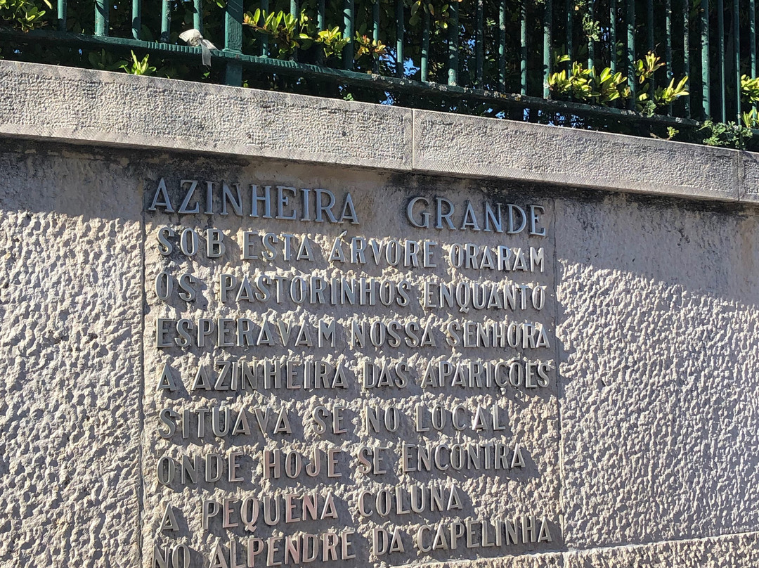 Azinheira Grande Centenaria-花地玛必去景点