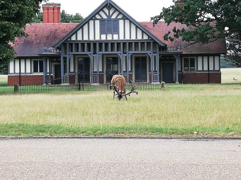 Woburn Abbey and Gardens-Woburn必去景点