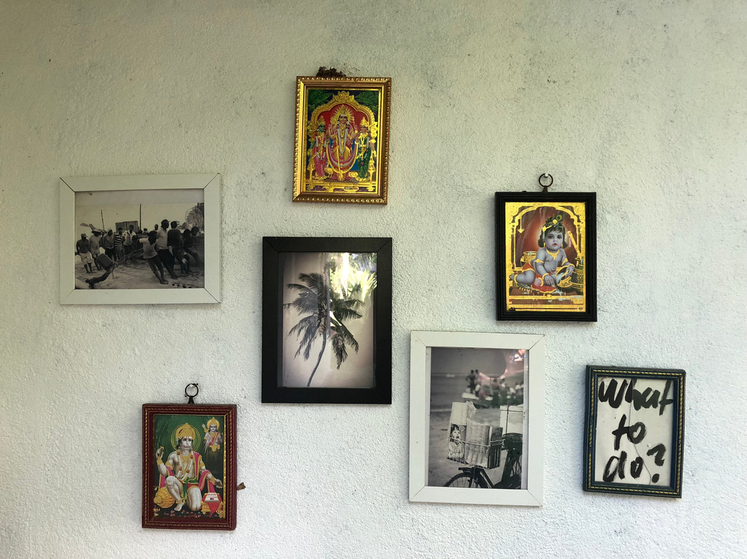 East Surf Cabanas主图