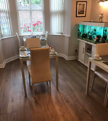 Launceston Villa Guest House主图