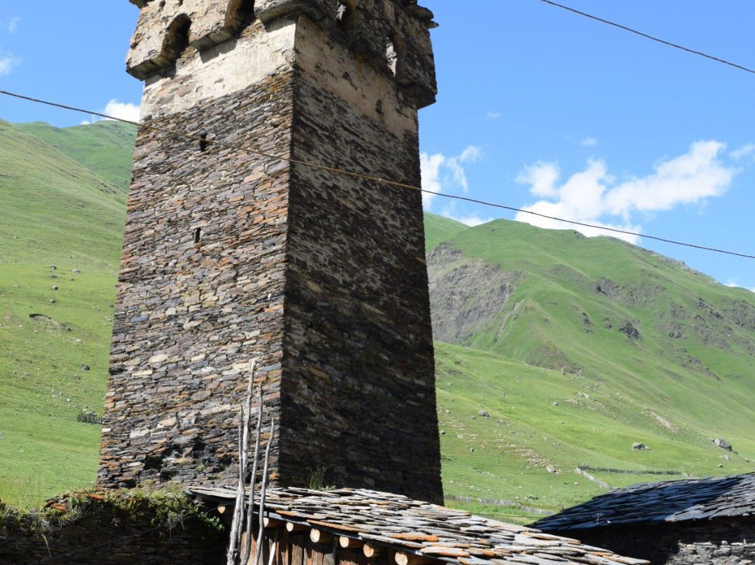 Nizharadze's Tower主图