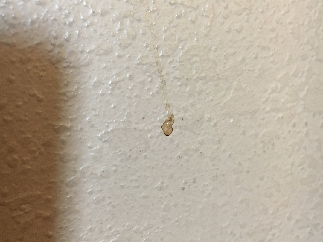 Laramie Valley Inn主图