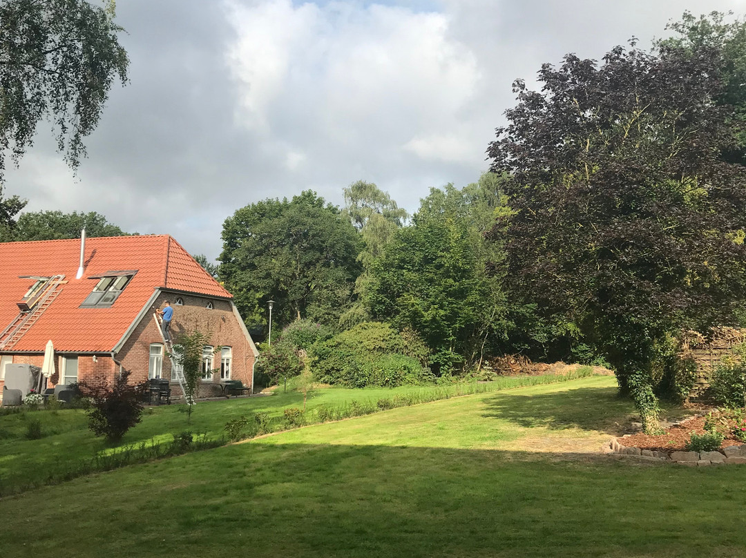 Hotel Backenkohler主图