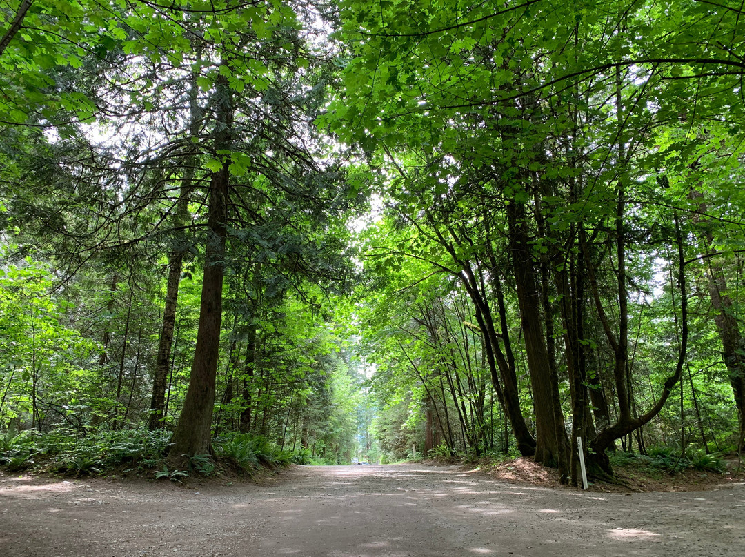 Coquihalla Campground
