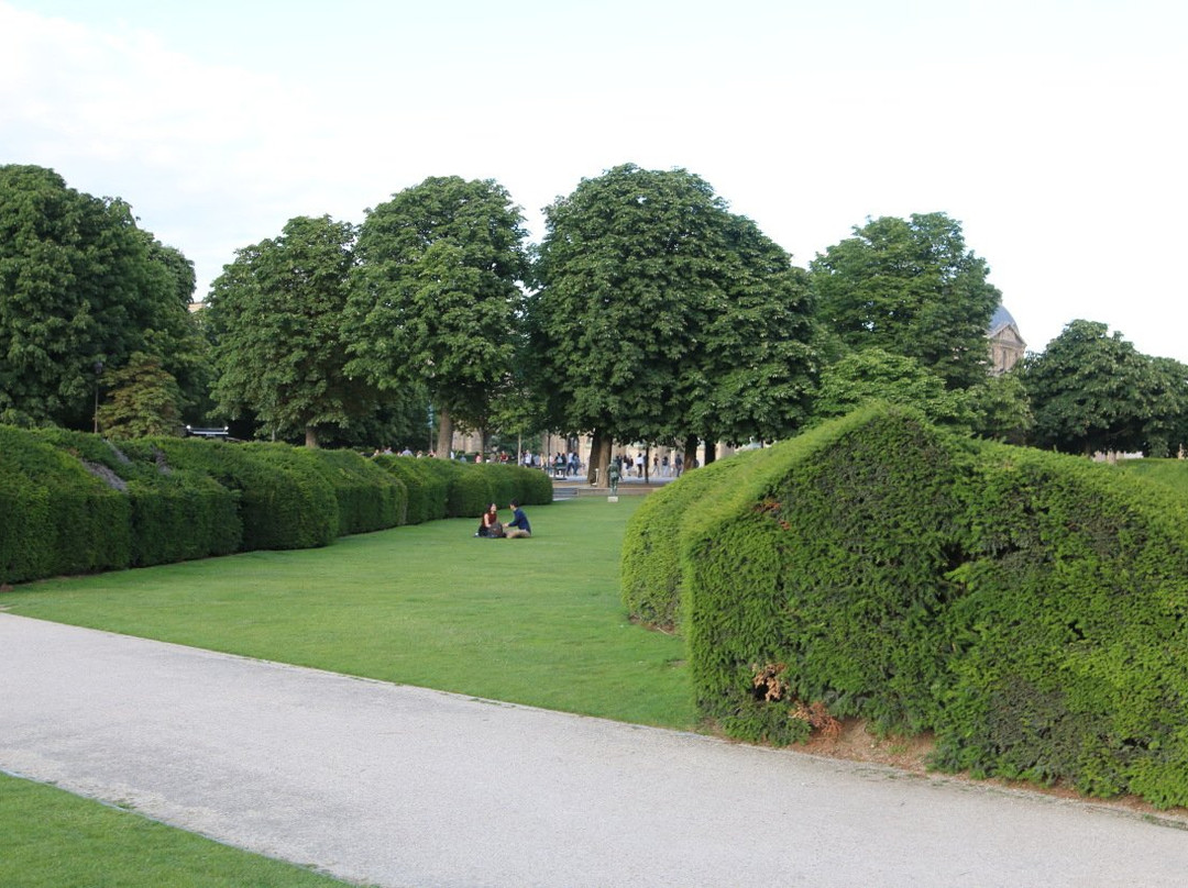 Jardin du Carrousel景点图片