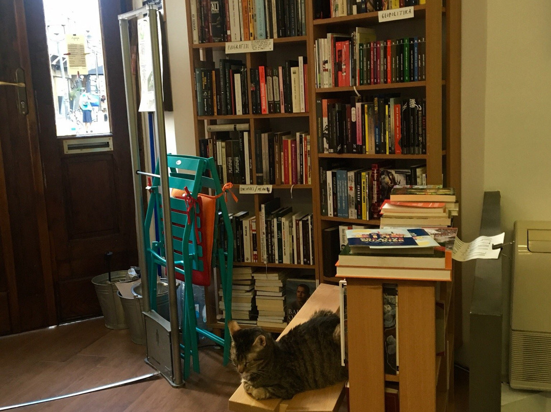 Apropo Bookshop and Tea Room景点图片