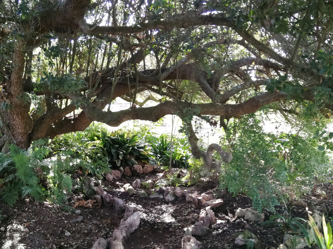 Wild Olive Guest Farm主图