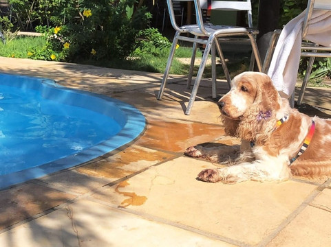 Vila do Por do Sol主图