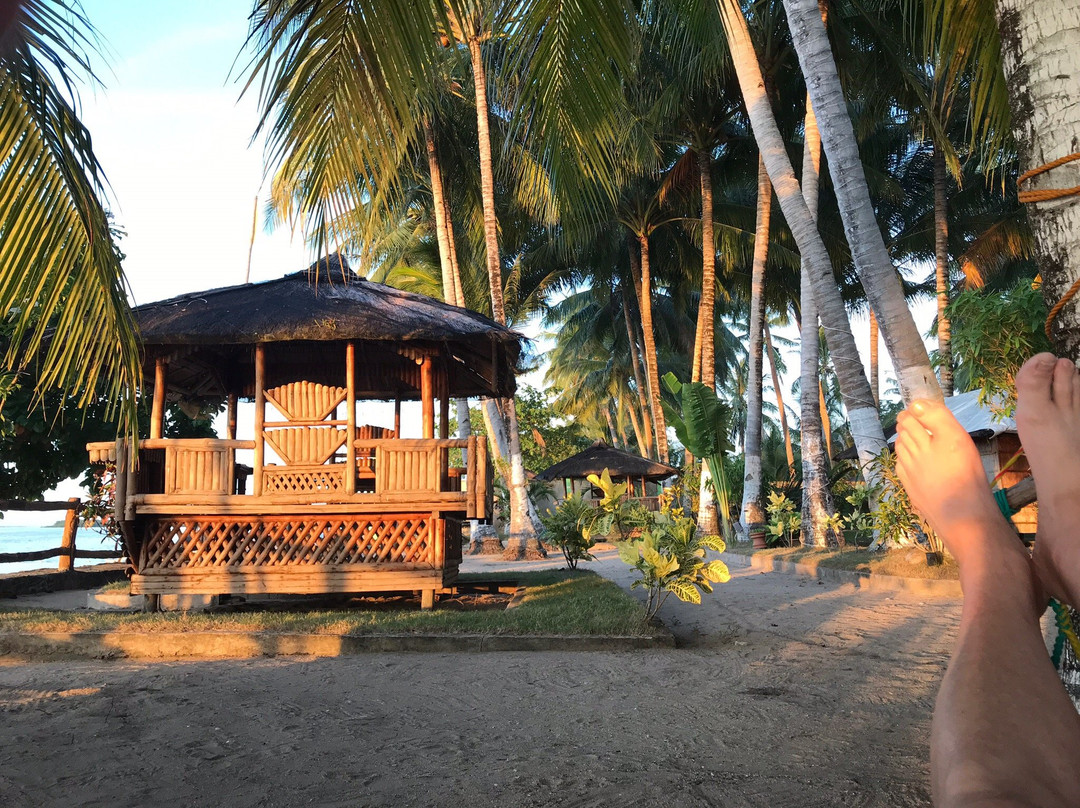 Nichos Island Resort主图