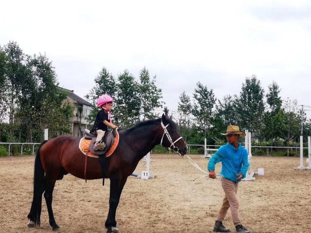 西芦园-太仓市必去景点
