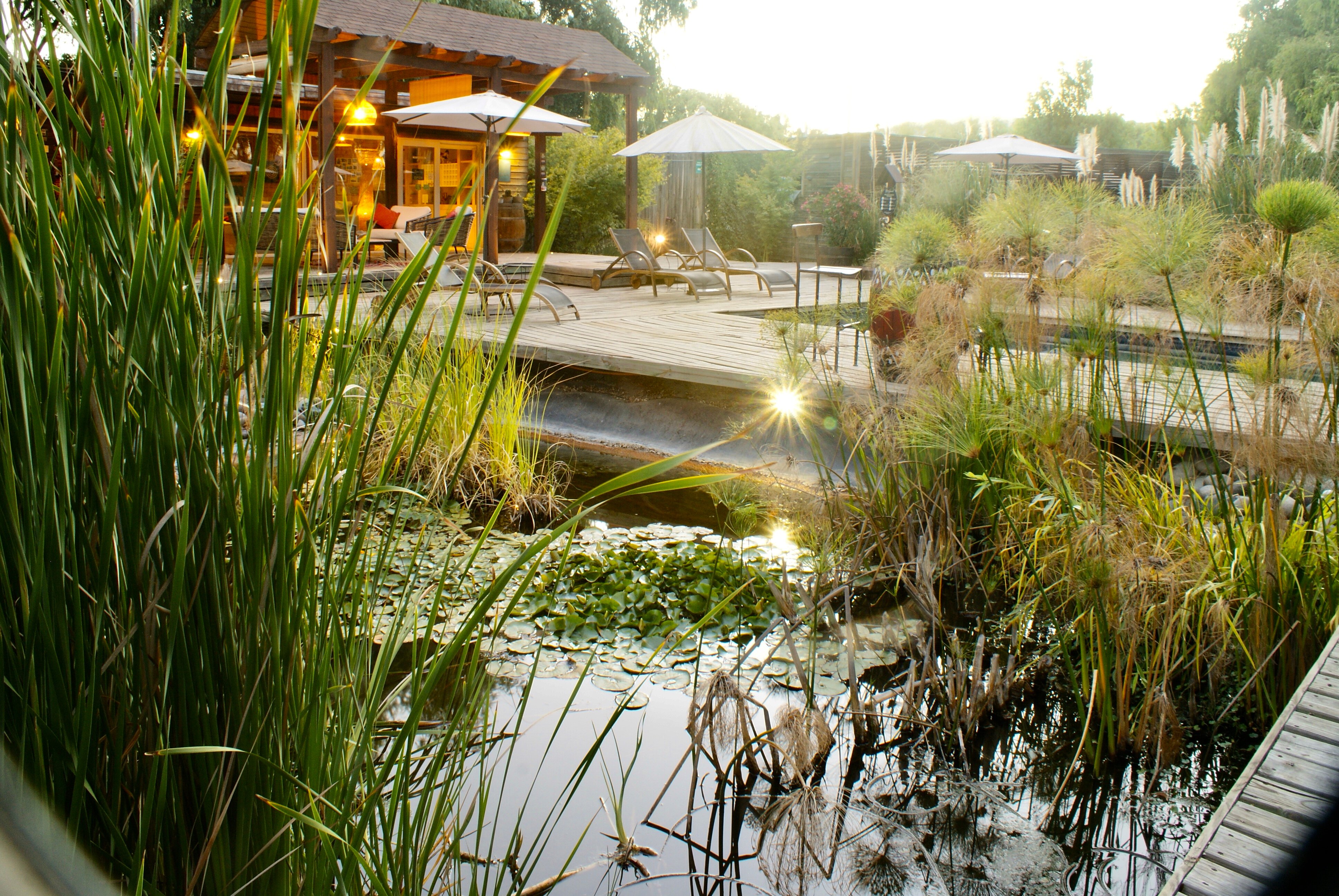 Barrica Lodge-泳池